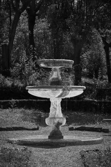 Brunnen in einem Garten, umgeben von Bäumen und Pflanzen.